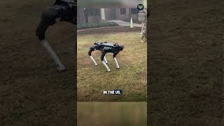 Robodogs Take Flight in Ukraines Warzone [upl. by Kristo]