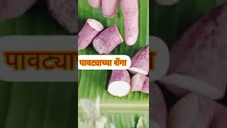 popti recipe in marathishorts youtubeshorts [upl. by Einhapets297]