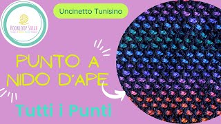 Punto a Nido dApe  TUTTI I PUNTI TUNISINI [upl. by Cung]