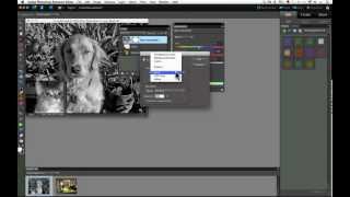 Adjustment Layers in Photoshop Elements Part 1 [upl. by Mic]