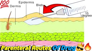 Understanding Parenteral Routes of Drug Topic  Pharmacology Lecture [upl. by Adiana]