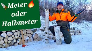 Meter oder Halbmeter Holz 🔥🪚🤔 im Wald sägen Brennholz selber machen brennholz selbstversorger [upl. by Enelak836]