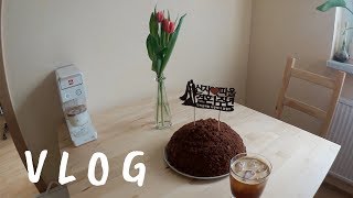 독일어자막VLOG 첫 번째 결혼기념일 👰🏻🤵 깜짝 선물🎁  두더지 케이크 🍰  씨푸드 레스토랑🦞 [upl. by Asta]