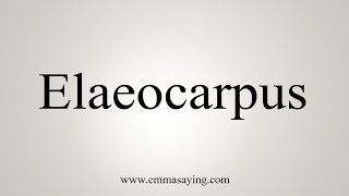 How To Say Elaeocarpus [upl. by Giffie]