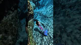 Mermaid swims for you mermaidlife mermaidswimming magictail mermaiding [upl. by Orms]