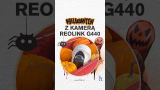 🎃 Przedstawiamy upiornie ponadczasową kamerę Reolink G440 z panelem solarnym halloween shorts [upl. by Kenimod391]