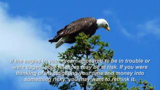 eagle dream meaning [upl. by Nitreb396]