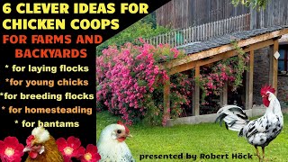 6 ideas for CLEVER CHICKEN COOPS For farm  backyard keeping henhouse roostingperches nestingbox [upl. by Atilegna]