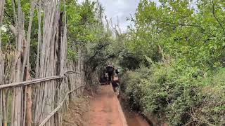 Walking near irrigation channels below Kasbah Bab Ourika Morocco 20241015 [upl. by Glick]