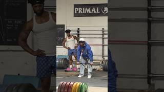 ANATOLY Use FAKE WEIGHTS in GYM PRANK anatoly fitness gym [upl. by Grimonia]