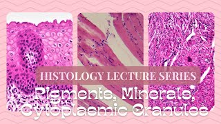 Pigments Minerals Cytoplasmic Granule StainingHistology Lecture Series [upl. by Leuqram463]