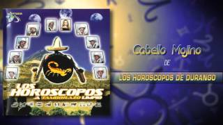 Los Horóscopos De Durango  Cabello Mojino Álbum Completo [upl. by Enirhtac578]