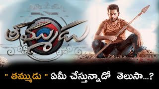 Nithin Movie Update  Nithin  Thammudu  Sreeleela  Cinemaguruzn1js [upl. by Cohberg463]