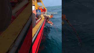 Part 4 Fishing trip in Kuala Pahang  squidfishing fishing pekanpahang [upl. by Boothe]