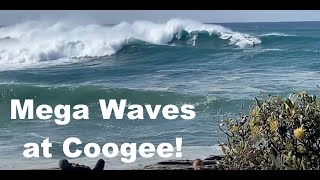 Mega Surf at Wedding Cake Island Coogee Beach Australia [upl. by Strickland59]