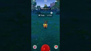 Tepig Evolve In Pignite  PokemonGo  Know I Am Waiting For Pignite Evolve In ❓️ [upl. by Kramal653]