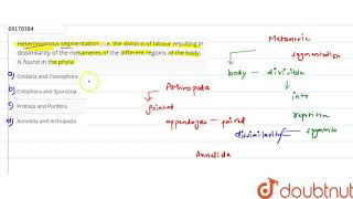 Heteronomous segmentation  ie the division of labour resulting in dissimilarity of the metameres [upl. by Atneuqal918]