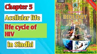 life cycle of HIV class 11 biology Sindh board [upl. by Nyrol66]