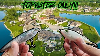 CRAZY Topwater Blowups From AGGRESSIVE FISH [upl. by Yahiya]