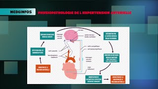 🔵Système Rénine Angiotensine Aldostérone physiopathologie de lHTA [upl. by Hau]