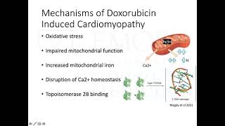 Doxorubicin Induced Cardiomyopathy [upl. by Artemas842]