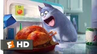 The Secret Life of Pets  The Owners Leave Scene 110  Movieclips [upl. by Ahsinroc]