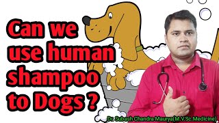 can we use human shampoo for dogs  क्या हम लोगो का शैंपू डॉग पे उपयोग कर सकते हैDoctor Pets [upl. by Carolyne]