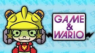 GAMER Super Fly Swatter  Game amp Wario OST [upl. by Llert]