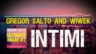 Gregor Salto and Wiwek  Intimi [upl. by Aplihs799]