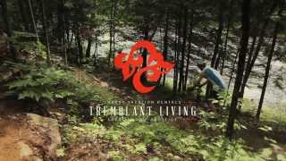 Mont Tremblant Luxury Chalet amp Condo Rentals [upl. by Acinnej]