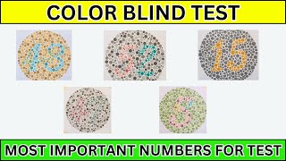 Color Blind Test  Color Blind Test For South Korea  Color Blind Test For Skill Test in Korea 2024 [upl. by Parthenia]