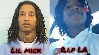 Should 051 Lil Mick get another chance 🤔 hes currently charged with k¡lling La Capone [upl. by Harp881]