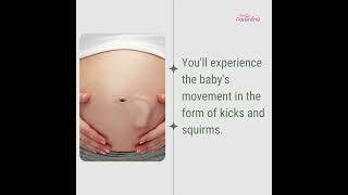 6 Month Pregnant Symptoms amp Baby Development  Six Month Pregnancy Baby Movement [upl. by Nadiya]