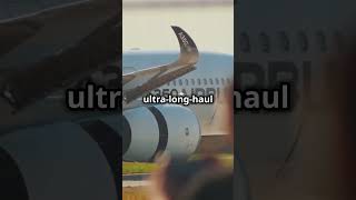 shorts shortvideo flying shortvideos [upl. by Pigeon109]