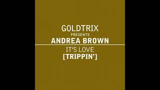 Goldtrix pr Andrea Brown  Its Love Trippin Radio Edit [upl. by Just]