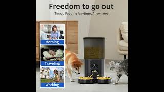 🐾 Want to make your pets life easier Win a FREE Automatic Pet Feeder 🎁 USA CUSTOMER ONLY [upl. by Irual]