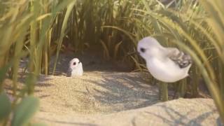 Piper Disney Pixar Oscar winning Short Movie  Piper Short Film by Disney Pixar [upl. by Friend]