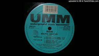 EDN  Moovin Groovin Pan Pan Little Organ [upl. by Aisenet979]