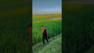 Masha Allah beautiful Bangladesh village shortvideo islamicvideo [upl. by Gussman]