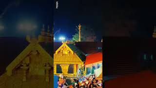 sabarimala youtubeshorts sabarimala trending ayyappa shorts youtube youtubetrending kerala [upl. by Amirak]