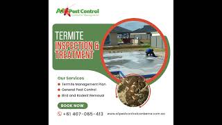 Are Termites Eating Away at Your Property [upl. by Sybilla]