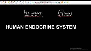 HUMAN ENDOCRINE SYSTEM GRADE 12  ISIZULU [upl. by Lustig]