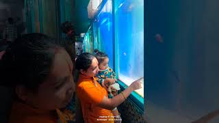 sarvaarthaa Sameeracharya fish fishing fish fishtank fishinglife fishingislife fishing [upl. by Stoneham]