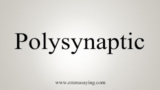 How To Say Polysynaptic [upl. by Wentworth230]