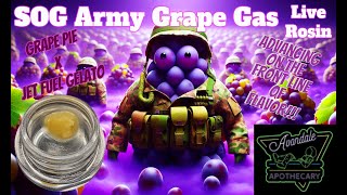 Trying Avondale Apothecary SOG Army Grape Gas THCa Live Rosin  It Doesnt Hold Anything Back [upl. by Nage856]