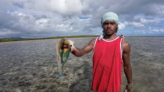 Fishing For Parrot Fish During Low Tide🐠🇫🇯 [upl. by Brandie]