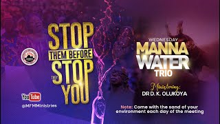 STOP THEM BEFORE THEY STOP YOU 3  MFM MANNA WATER 27032024 DR D K OLUKOYA [upl. by Nelyt]