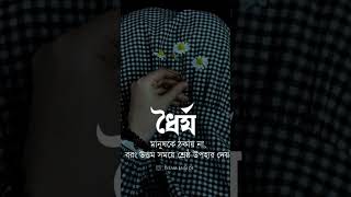 ধৈর্যমানুষকে ঠকায় না বরং উত্তম সময়ে শ্রেষ্ঠ উপহার দেয় islamicpreacher ইসলামিককাহিনী [upl. by Aric]