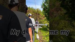 Today we went…HIKING puppy poochon pets funnydog cute happythepup [upl. by Vasileior778]