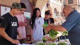 FEDERICO TAGLIAFICO FERIA DE PRODUCTOS DEL IPEA 238 [upl. by Ecirahc]